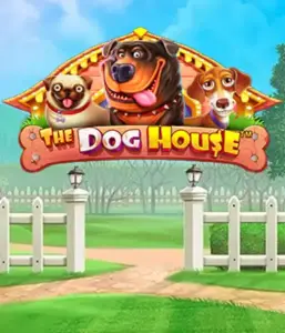 Experience Pragmatic Play's The Dog House adventure, featuring an adorable experience through lovable dogs. Discover gameplay elements such as sticky wilds, designed for delivering exciting wins. Perfect for animal enthusiasts an amusing theme and the opportunity to win big.