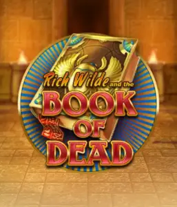 Enter the thrilling world of Book of Dead Slot by Play'n GO, presenting vivid graphics of Rich Wilde's journey through ancient Egyptian tombs and artifacts. Uncover lost riches with captivating mechanics like free spins, expanding icons, and a gamble option. Ideal for adventure enthusiasts with a desire for exciting finds.